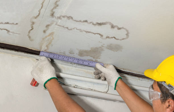 Reliable Mold Remediation contractor in Nutley, NJ by Local Water Damage Repair